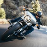 Logo du groupe Forrest Gump