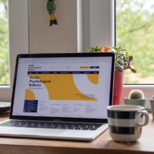 Logo du groupe Black Swan